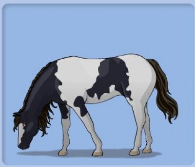 paint-horse.jpg